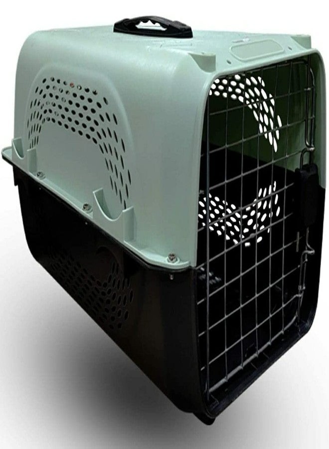 Petlicious & More® Pet Travel Carrier Dog Cat Rabbit Basket Plastic Handle Hinged Door Folding Collapsible Transport Box Cage Size 19.5 x 13 x 12.5 Inch for Puppy Cats (LiteGreen) - Image 3